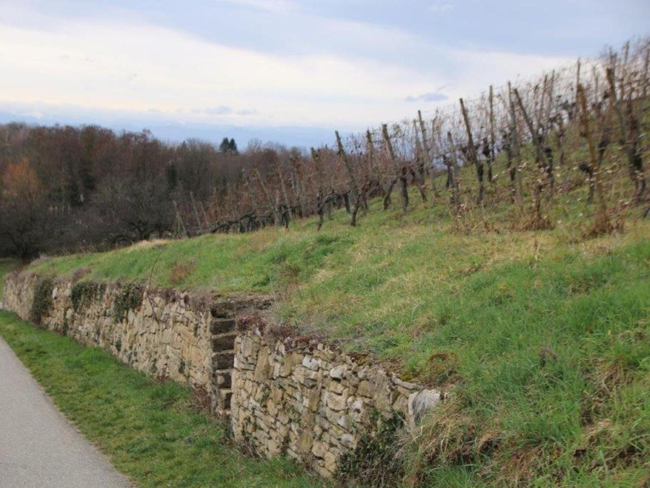 Haus Weichart Villa Sulzburg Luaran gambar